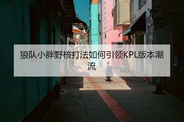 狼队小胖野核打法如何引领KPL版本潮流
