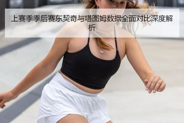 上赛季季后赛东契奇与塔图姆数据全面对比深度解析